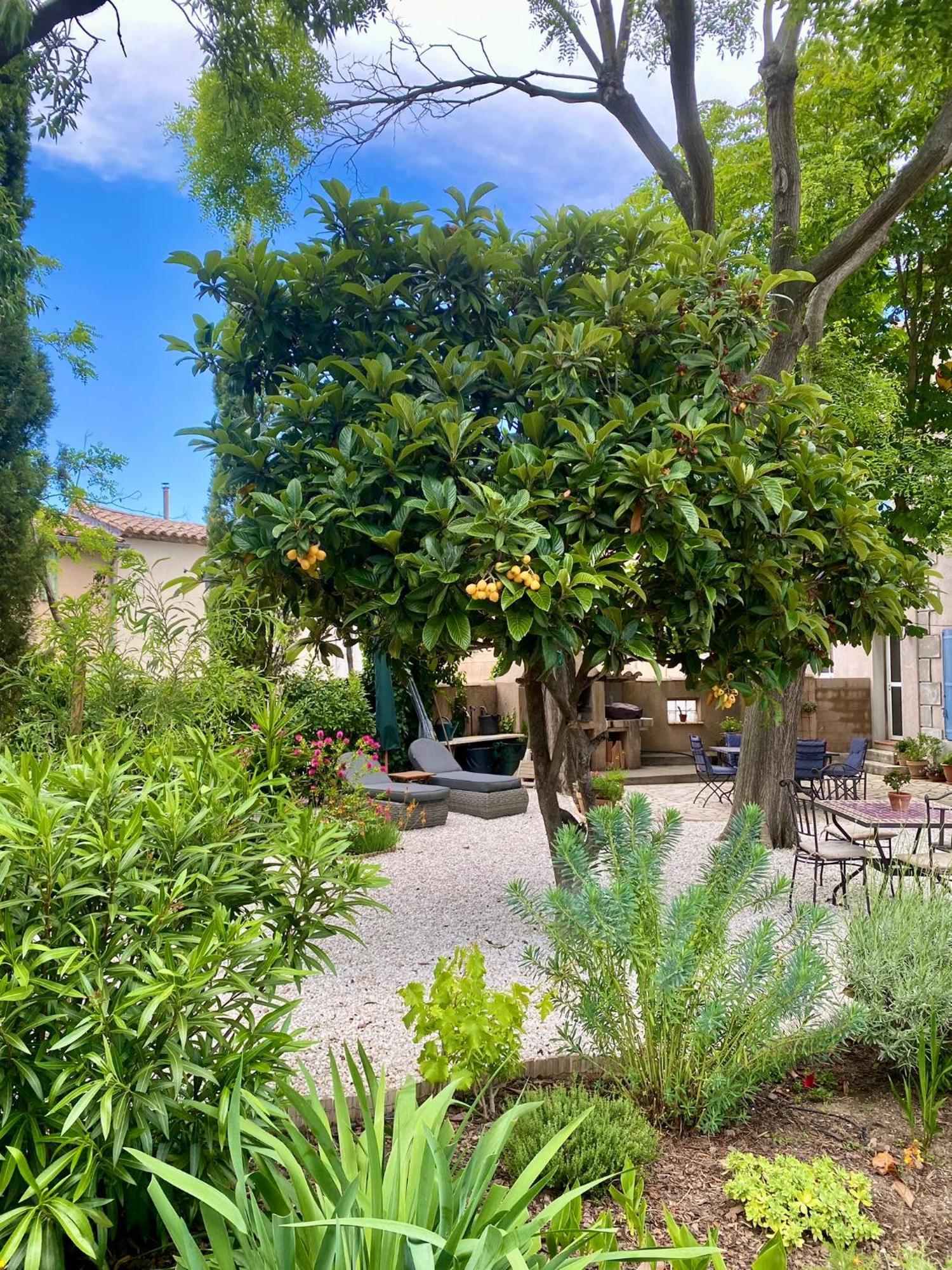 Maison Du Midi, 2 Gites De Charme Ginestas Экстерьер фото